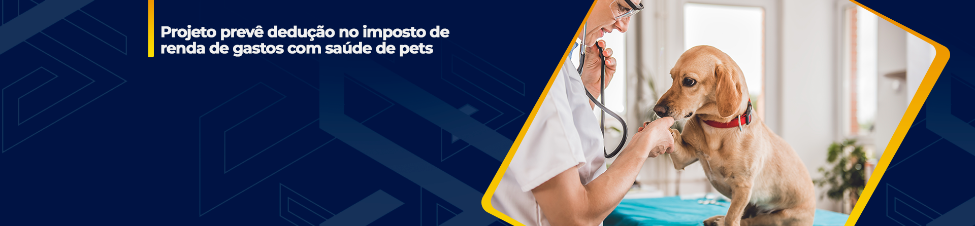 Projeto prevê dedução no imposto de renda de gastos com saúde de pets
