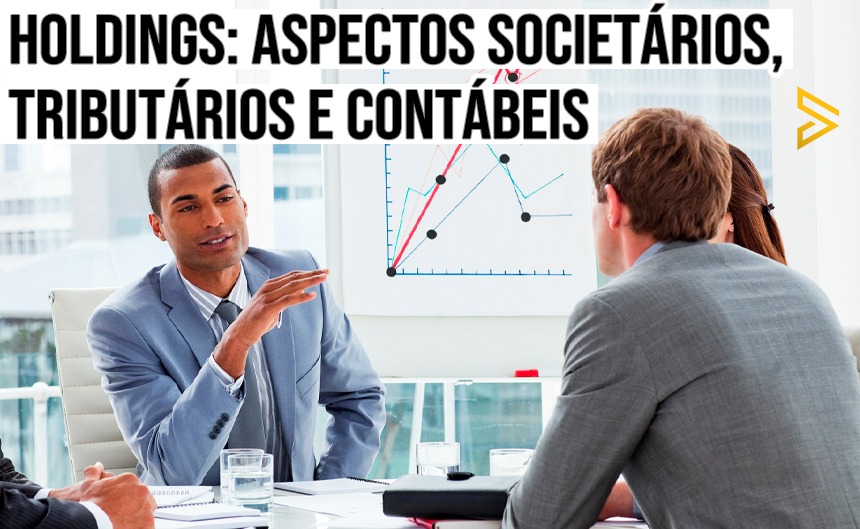 Holding: Aspectos Societários, Tributários e Contábeis